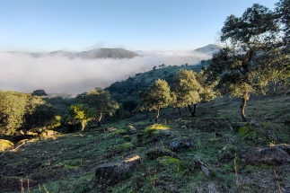 IMG20200107094447