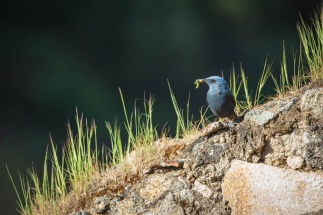 22-Benjamin MUNOZ-BMB_1879