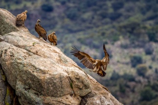 5-Benjmin V2 Lightroom CS5-3492